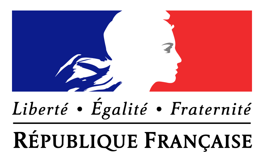 Le Gouvernement Français