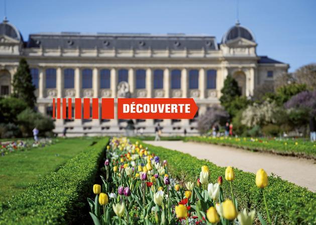 Le Muséum célèbre 400 ans de sciences et de nature