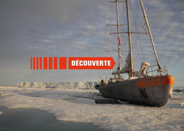 Une odyssée des glaces du grand nord aux coraux