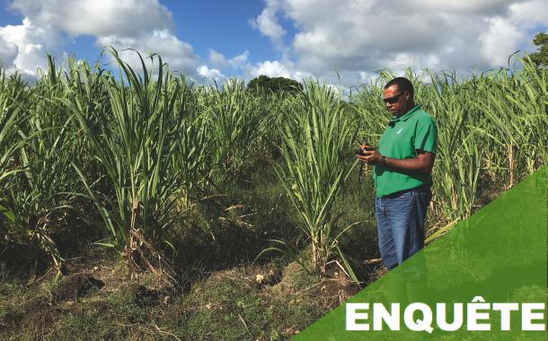 Espace Sud Martinique : Satisfaire aux besoins des métiers et des élus