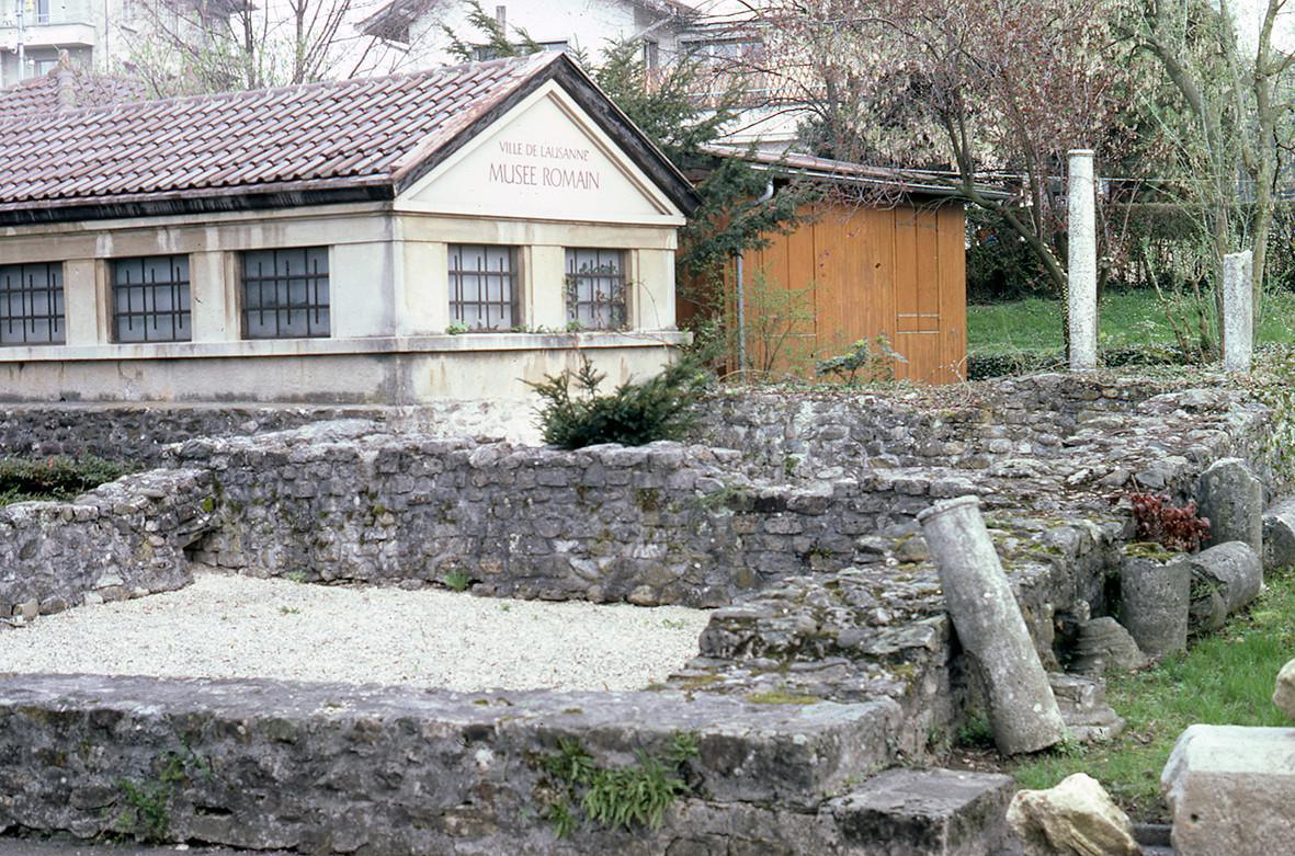La domus du musée La domus du musée