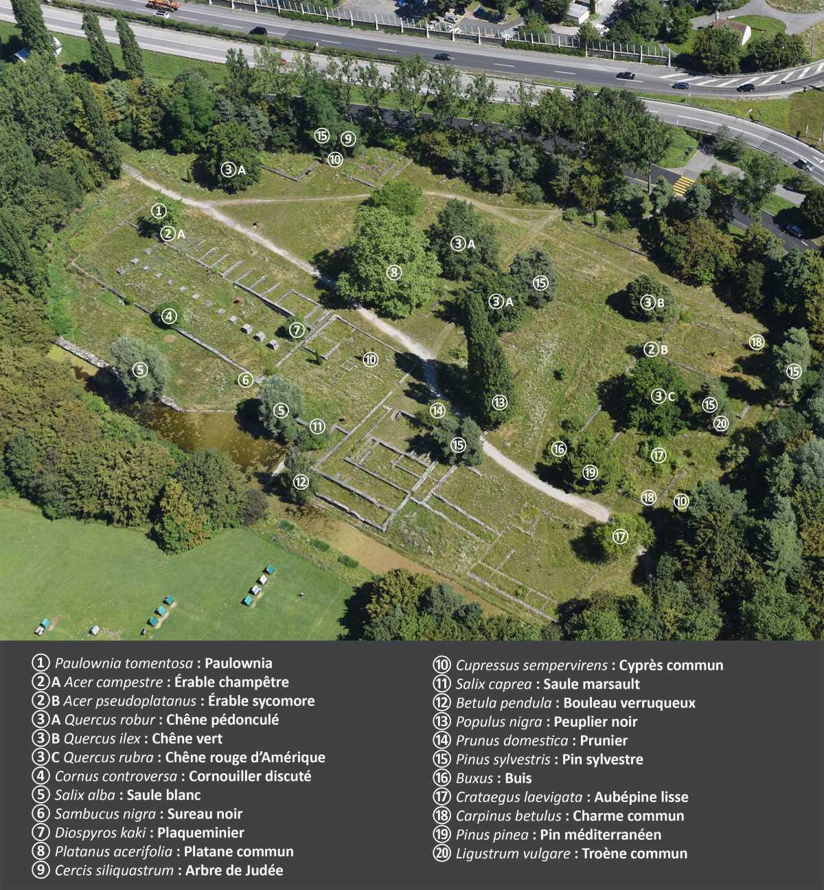 La faune et la flore La faune et la flore