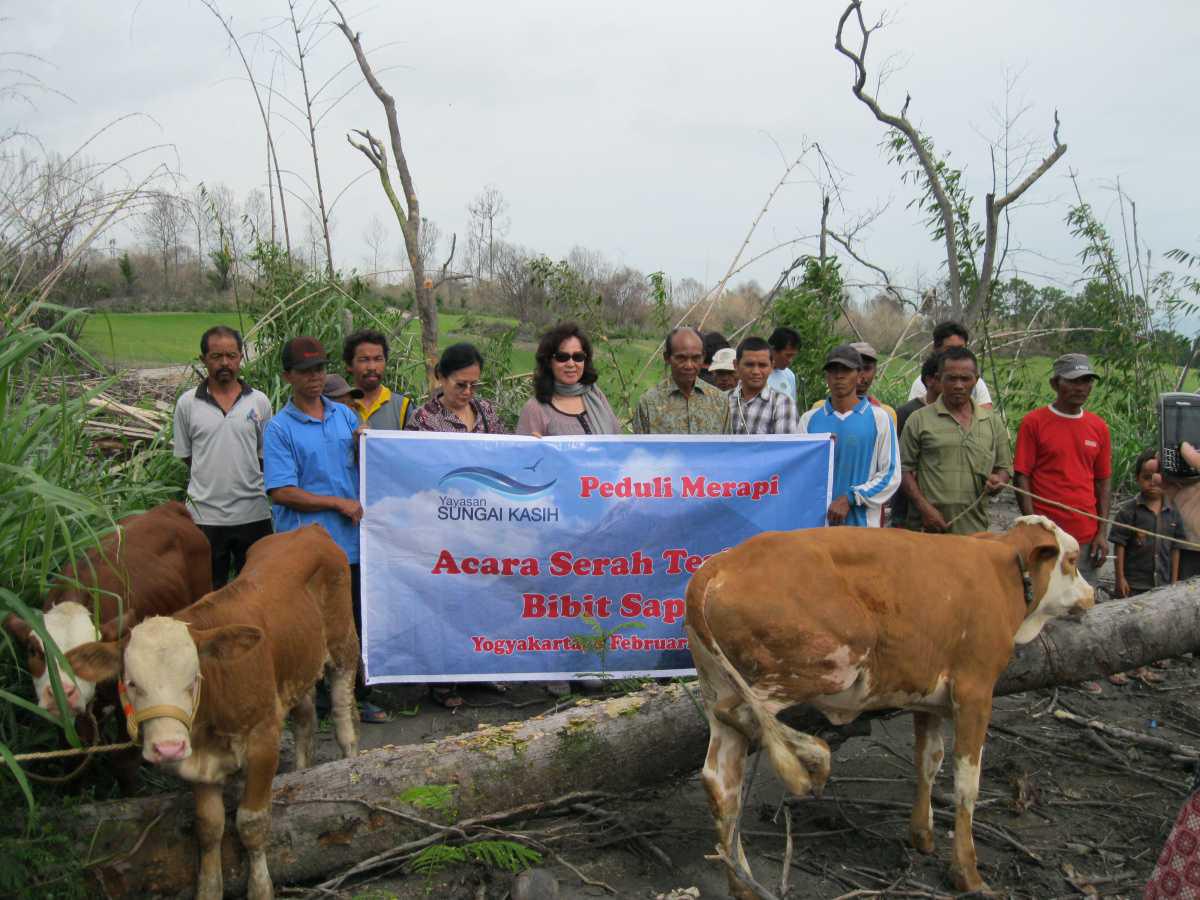 Pemberian Bantuan Bibit Sapi di Sleman