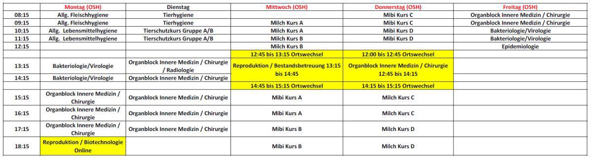 7.Semester (Wintersemester 2024/2025)