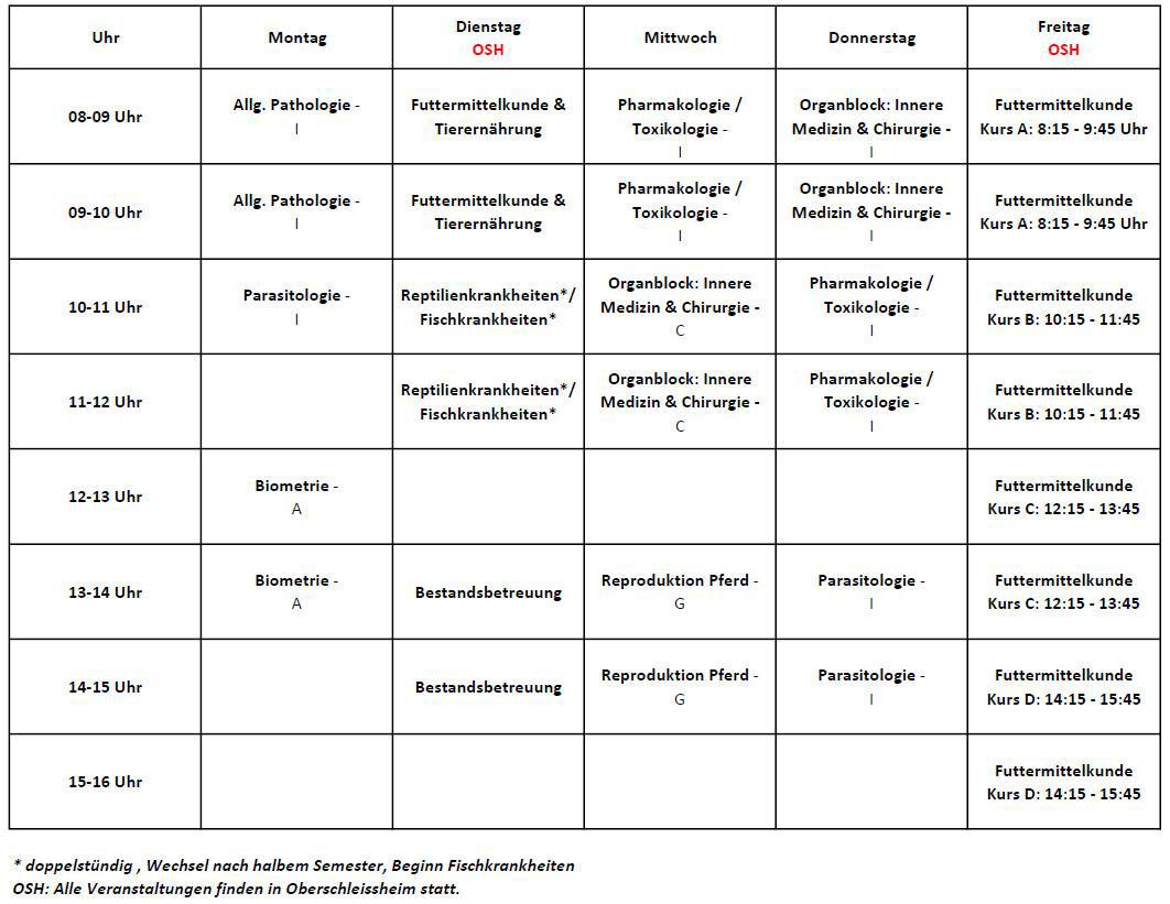 5.Semester (Wintersemester 2024/2025)