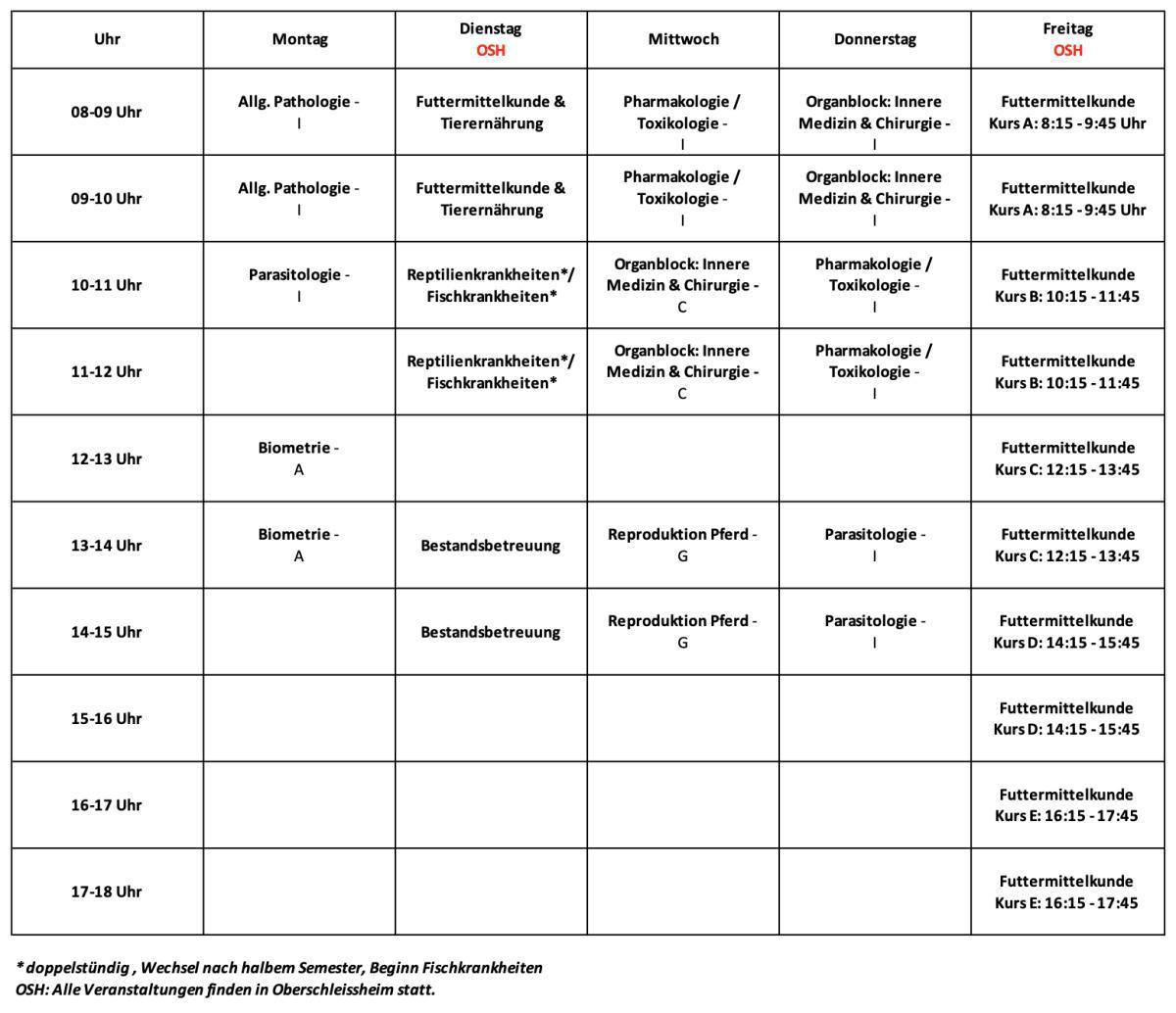 5.Semester (Wintersemester 2025/2026)