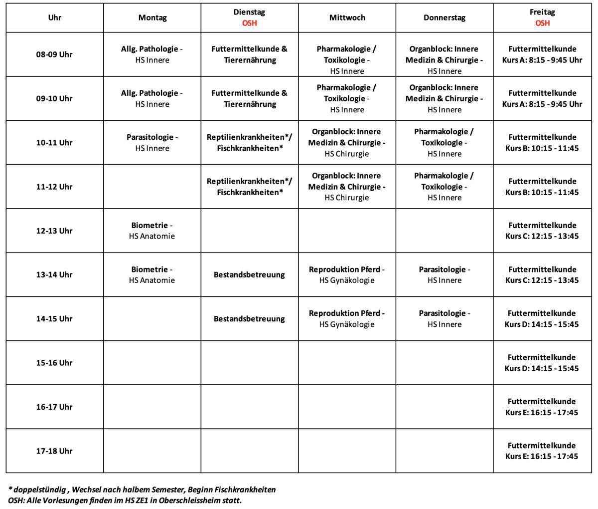5.Semester (Wintersemester 2025/2026)