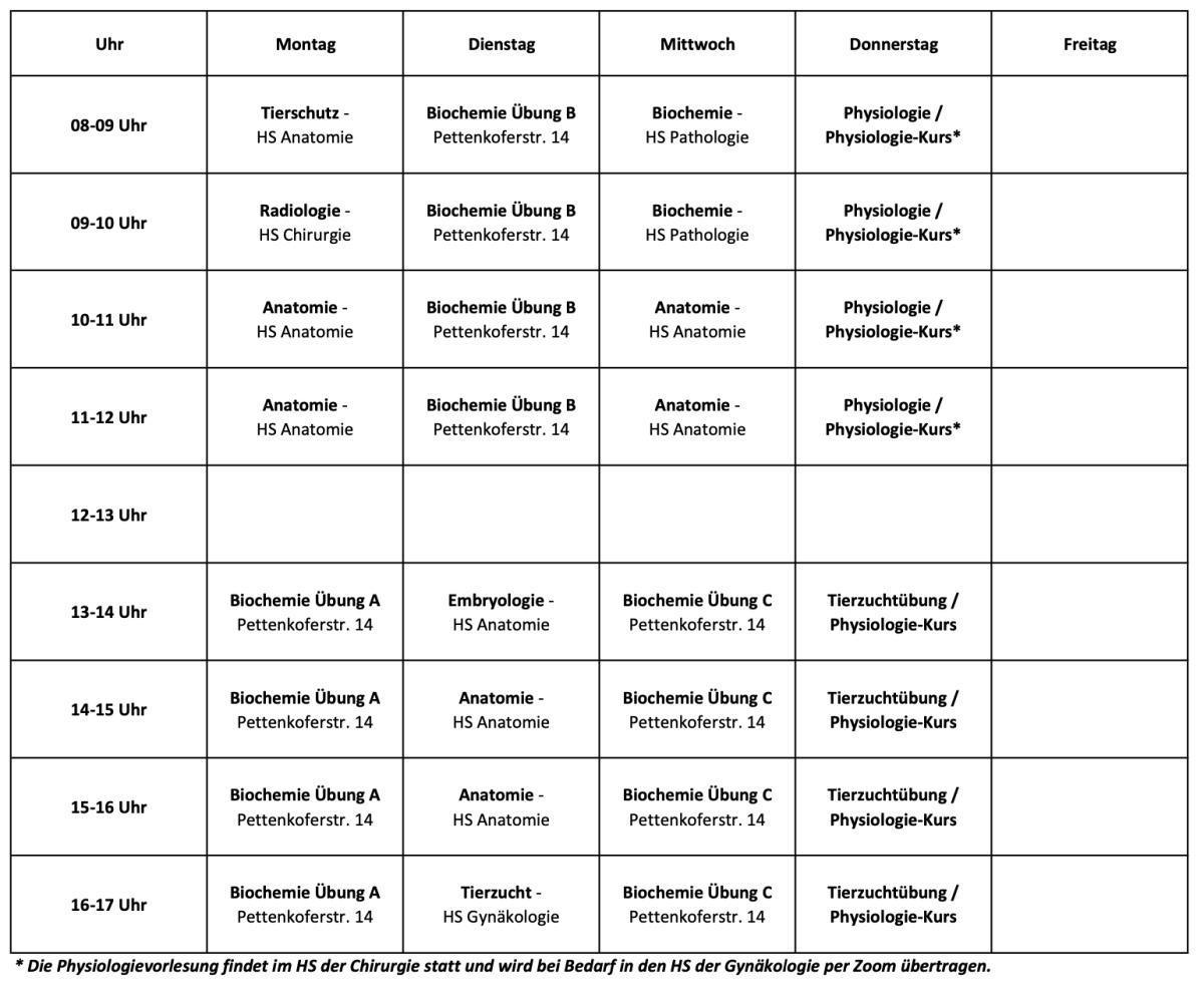 3.Semester (Wintersemester 2025/2026) 3.Semester (Wintersemester 2025/2026)