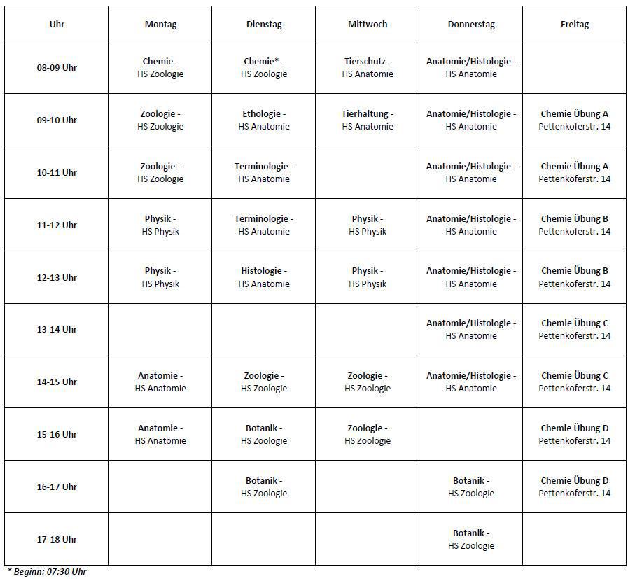 1.Semester (Wintersemester 2024/2025)