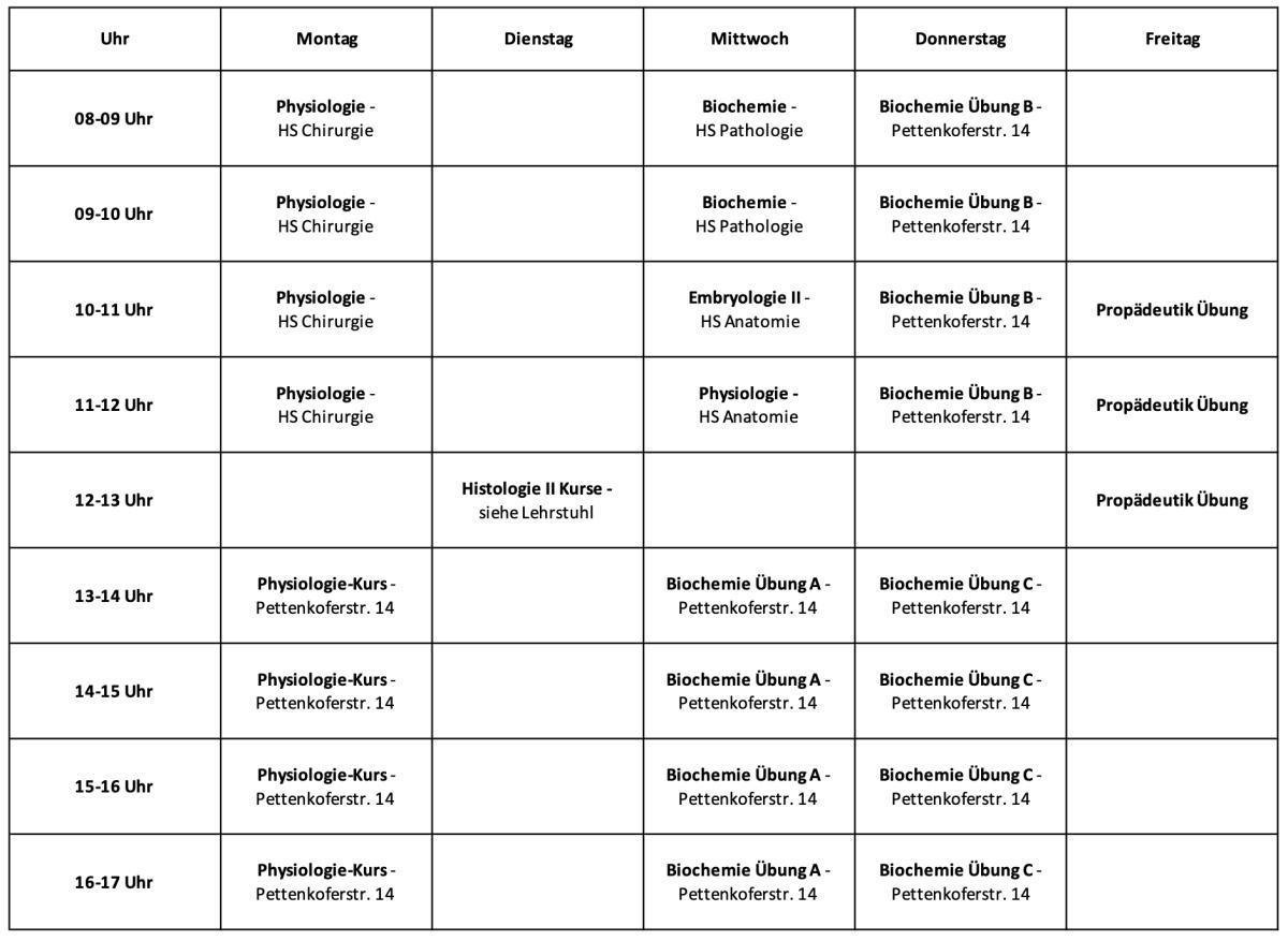 4.Semester (Sommersemester 2025)