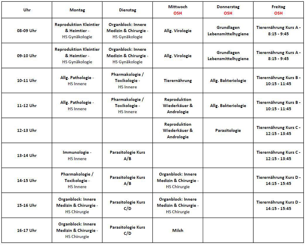 6.Semester (Sommersemester 2024)