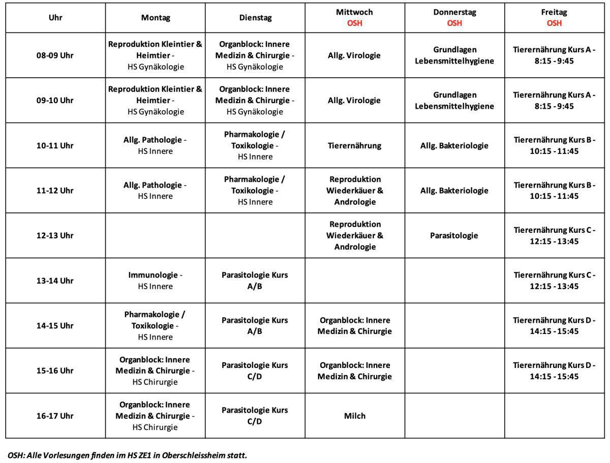 6.Semester (Sommersemester 2025)