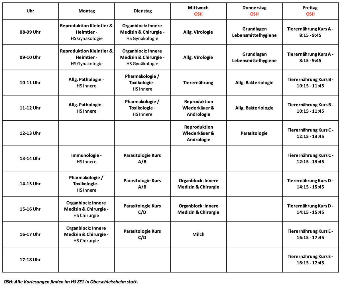 6.Semester (Sommersemester 2026)