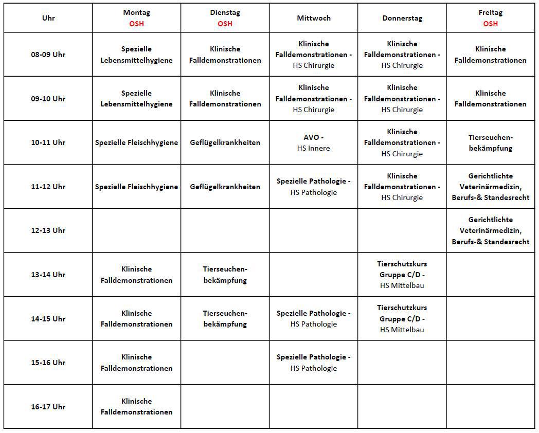 8.Semester (Sommersemester 2024)