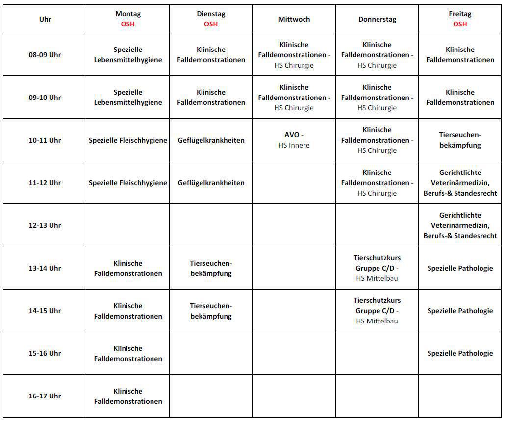 8.Semester (Sommersemester 2025) 8.Semester (Sommersemester 2025)