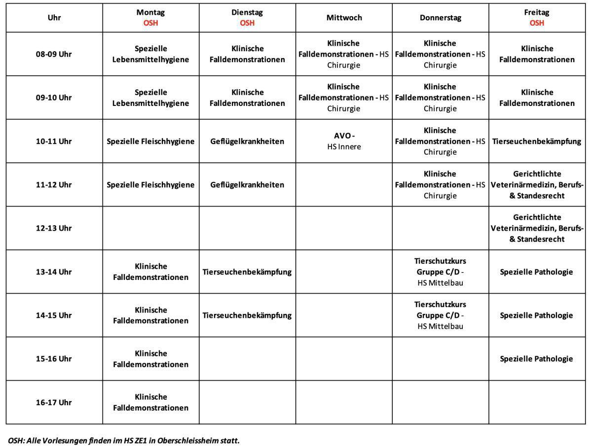 8.Semester (Sommersemester 2025)