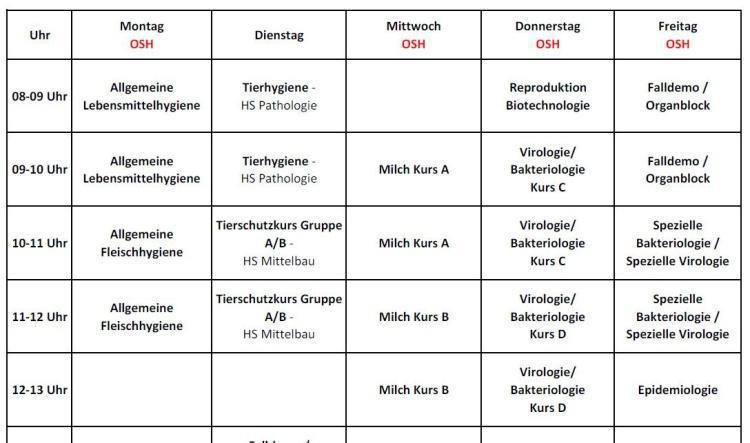 7.Semester (Wintersemester 2025/2026)