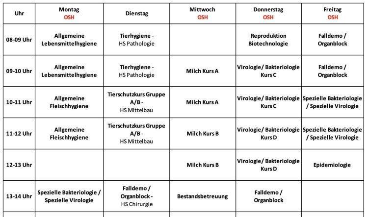 7.Semester (Wintersemester 2025/2026)