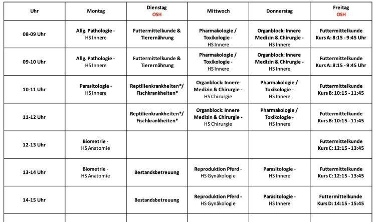 5.Semester (Wintersemester 2025/2026)