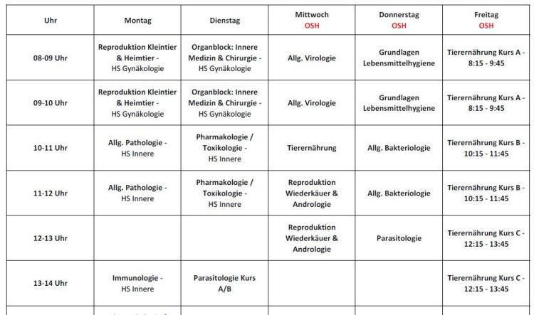 6.Semester (Sommersemester 2025)