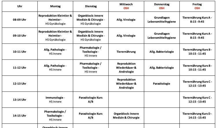 6.Semester (Sommersemester 2025)