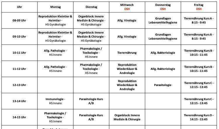 6.Semester (Sommersemester 2026)