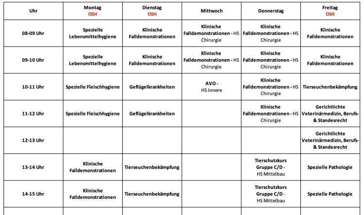 8.Semester (Sommersemester 2025)