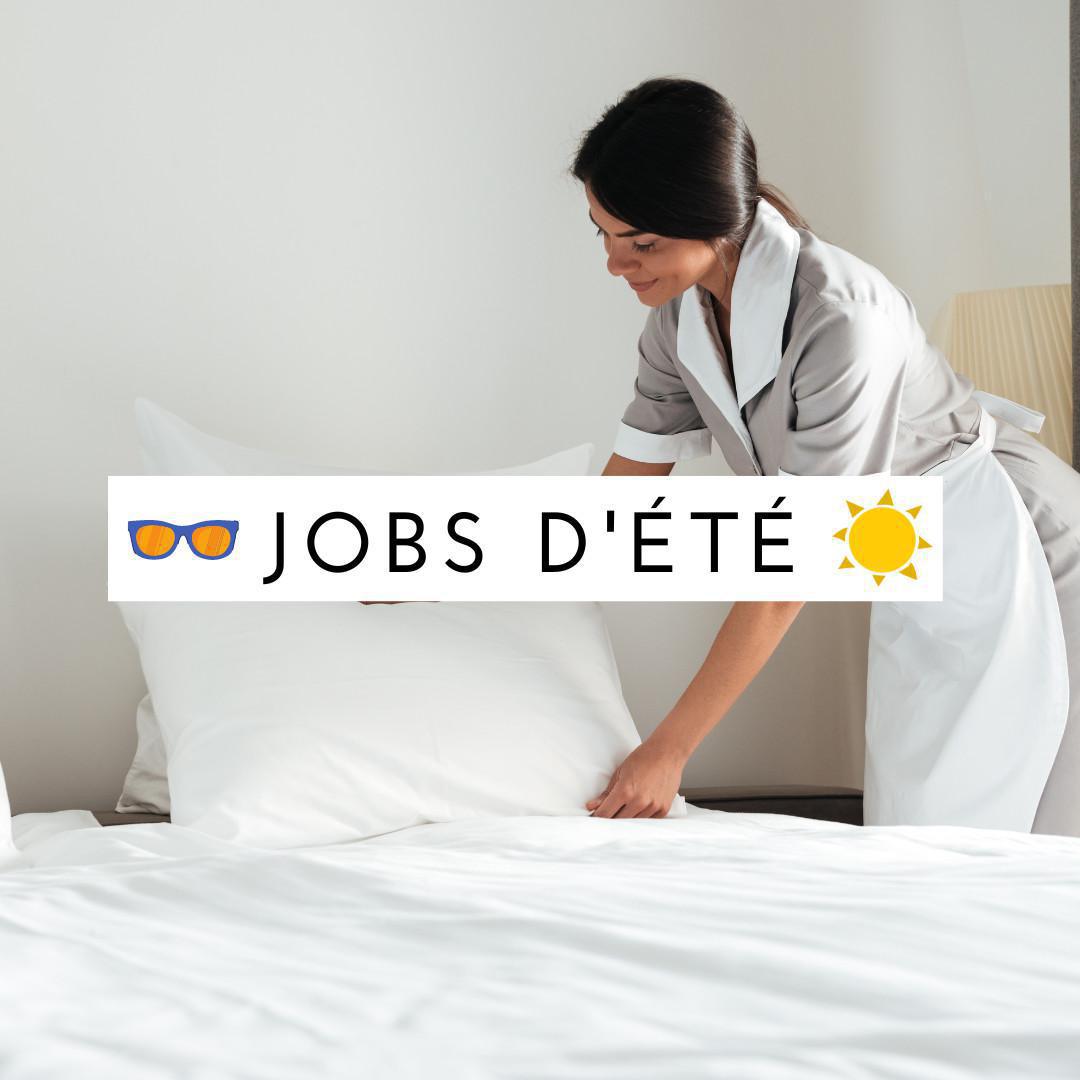 Valet / Femme de Chambre (H/F) Valet / Femme de Chambre (H/F)