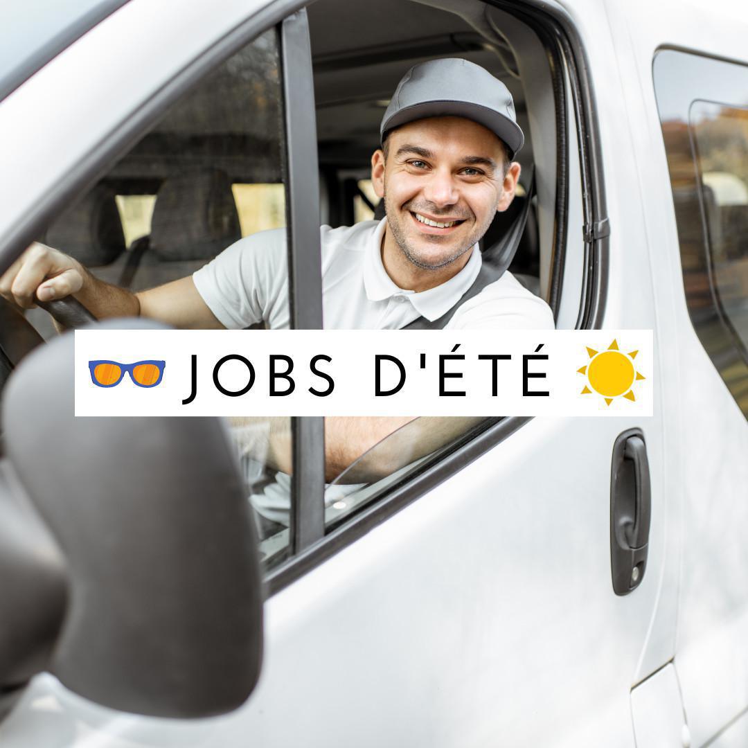 Chauffeur livreur VL (H/F) Chauffeur livreur VL (H/F)