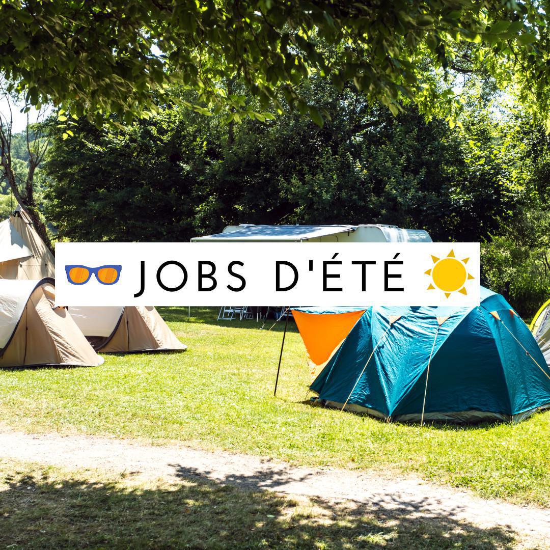 Agent d'entretien en camping (H/F) Agent d'entretien en camping (H/F)