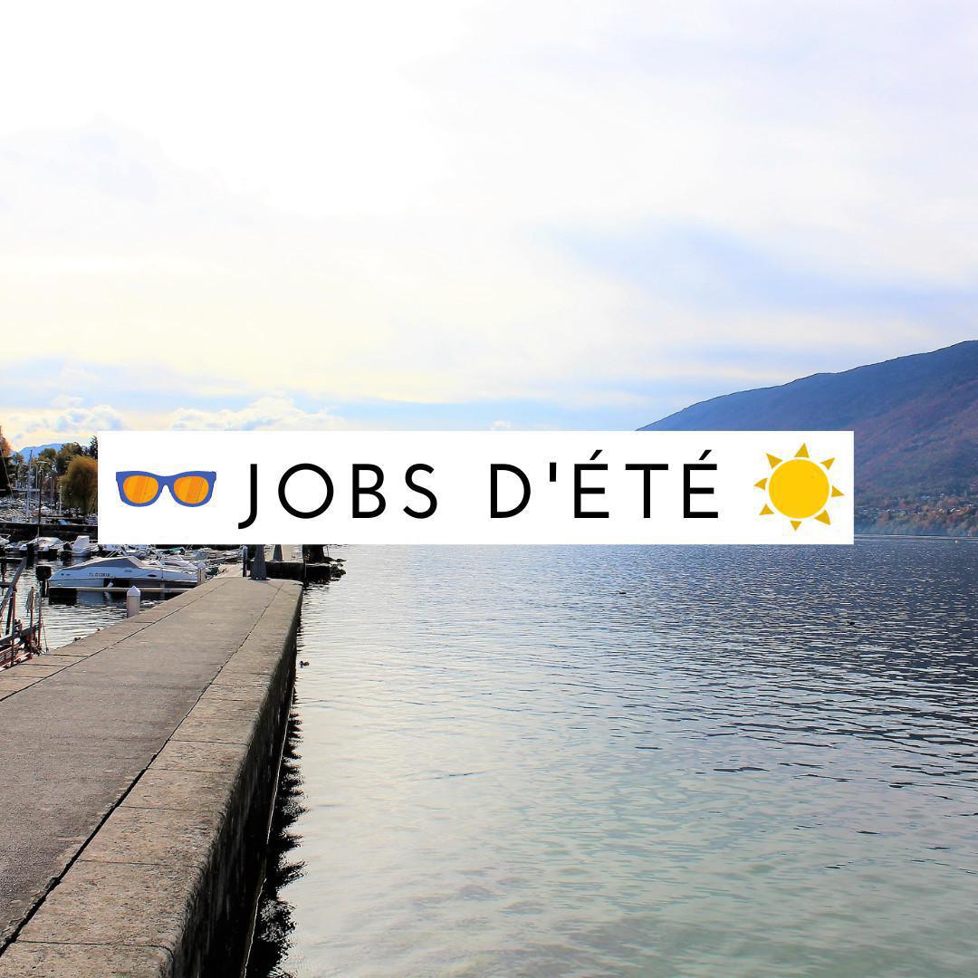 Agent(e) polyvalent(e) Nettoyage bord du lac (H/F) Agent(e) polyvalent(e) Nettoyage bord du lac (H/F)