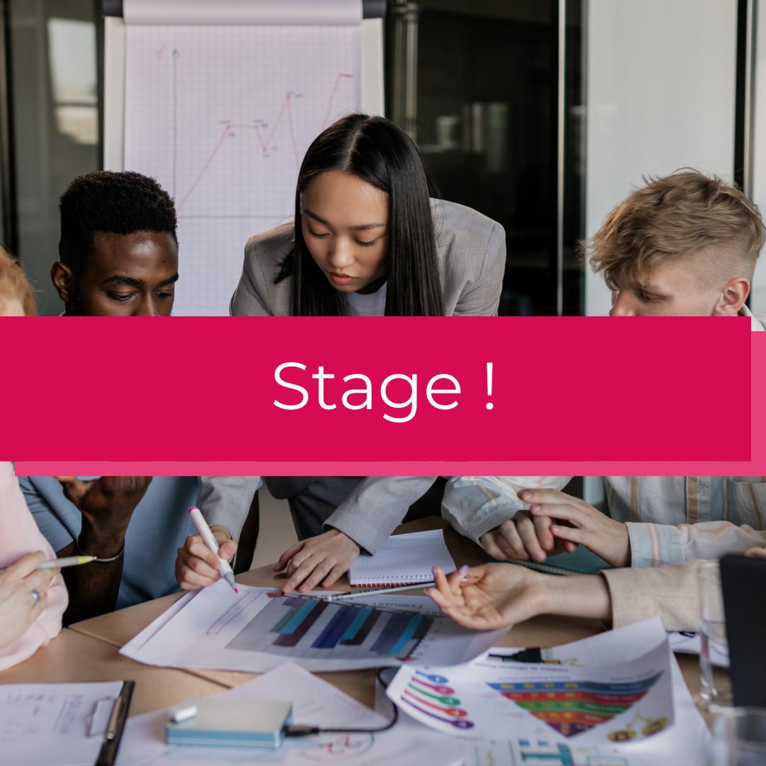 Stage - Assistant marketing et communication (H/F) Stage - Assistant marketing et communication (H/F)