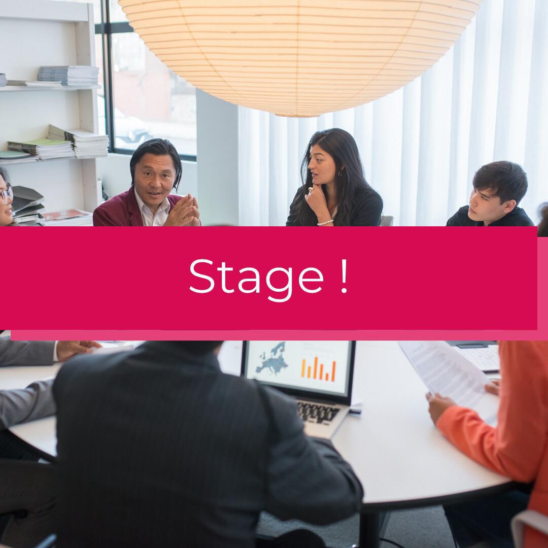 Stage - Management de projet interculturel (H/F)