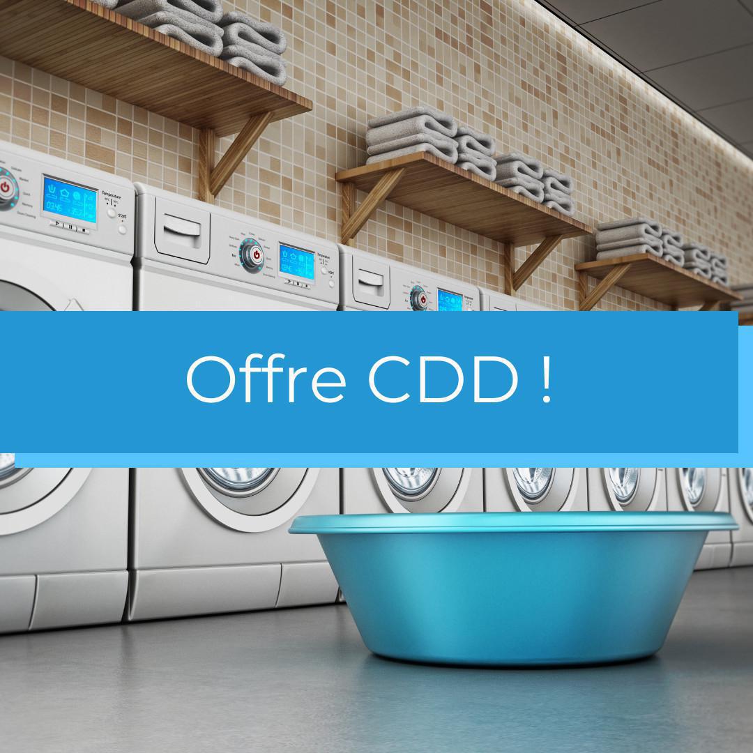 Employé de blanchisserie industrielle (H/F) Employé de blanchisserie industrielle (H/F)