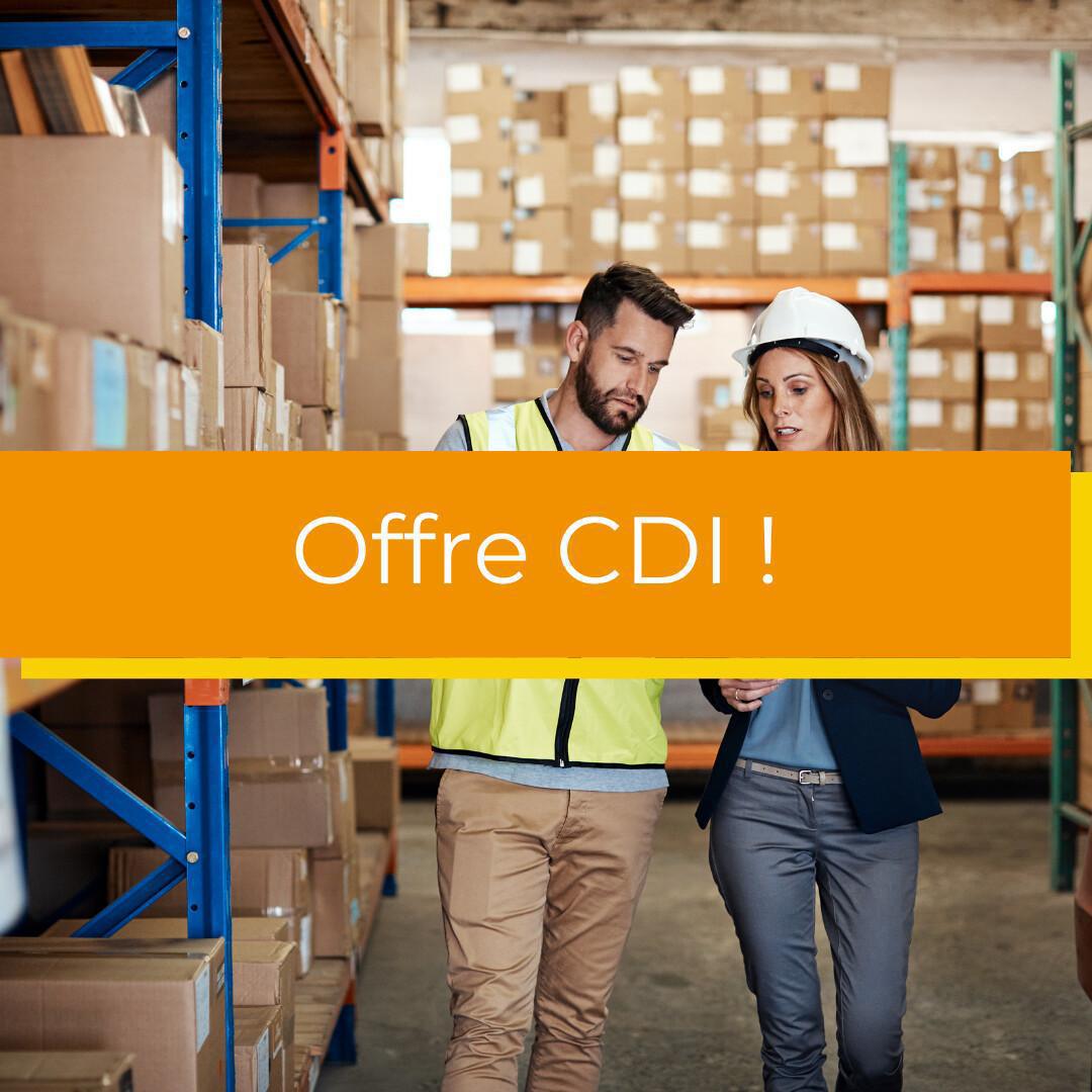 Agent logistique magasinier(ère) (H/F) Agent logistique magasinier(ère) (H/F)