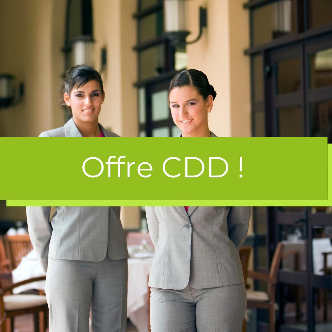 Hôte/Hôtesse d'accueil (H/F)