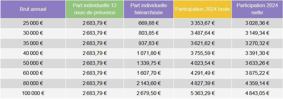 Participation 2024 Participation 2024