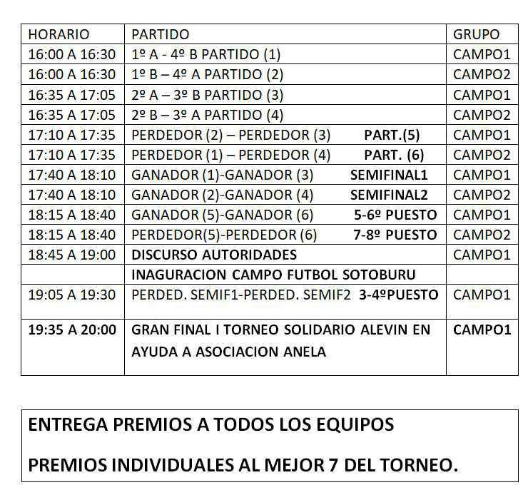 I TORNEO ALEVÍN FÙTBOL 7 (2008) - SOLIDARIO EN AYUDA A ASOCIACIÓN ANELA.