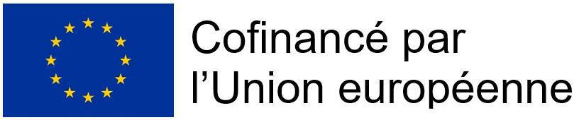 Le Fonds Social Européen Le Fonds Social Européen