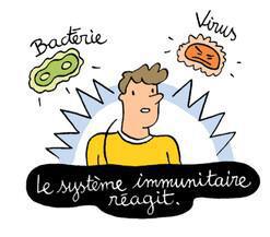 Immunologie : système immunitaire et immunothérapie Immunologie : système immunitaire et immunothérapie