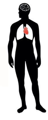 Immunologie : système immunitaire et immunothérapie Immunologie : système immunitaire et immunothérapie