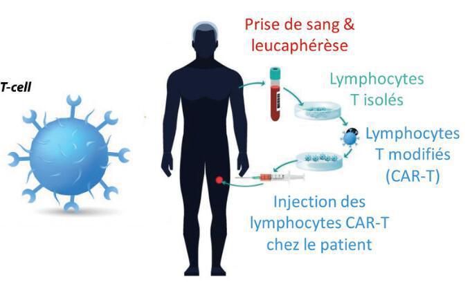 Les différents types d’immunothérapies Les différents types d’immunothérapies