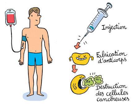 Les effets du traitement Les effets du traitement
