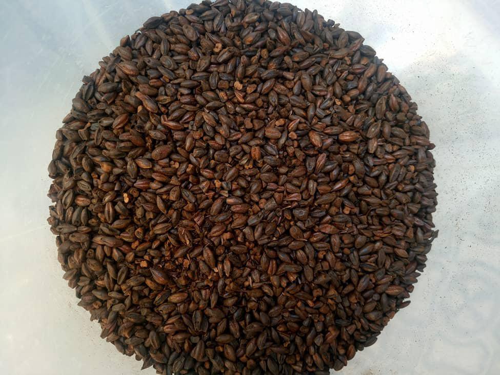 El Proceso de la Cerveza El Proceso de la Cerveza