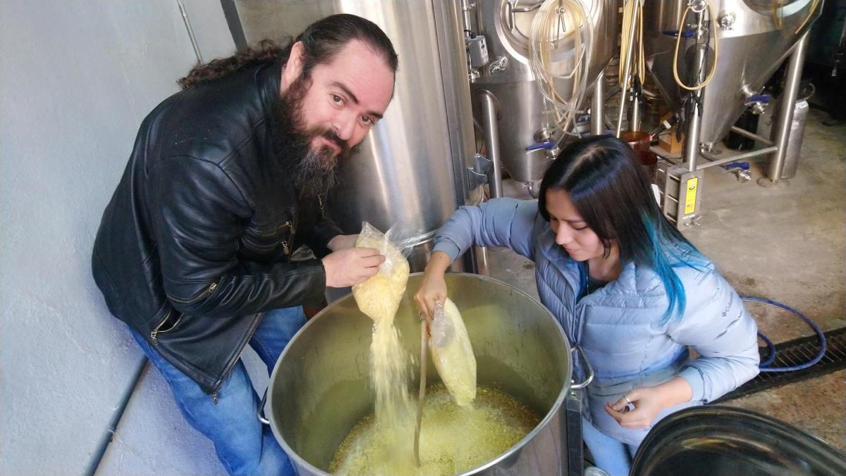 El Proceso de la Cerveza El Proceso de la Cerveza