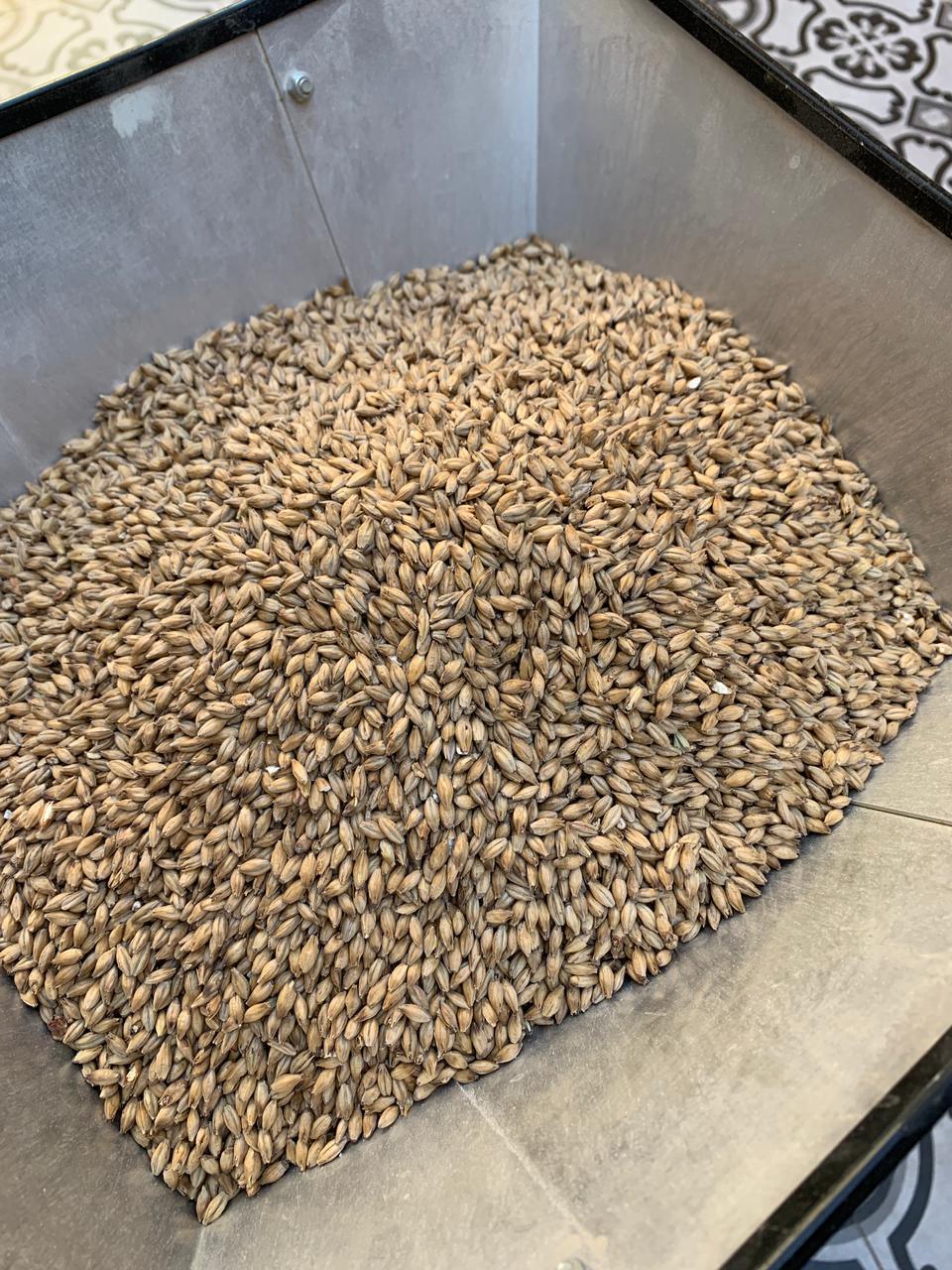 Proceso de fabricación de la Cerveza Proceso de fabricación de la Cerveza