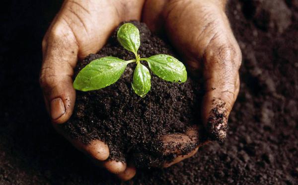 1:30pm - Creating a Life-giving Marriage