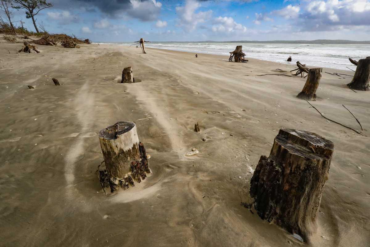  [Focus] - "Érosion Accélérée sur l'Île d'Oléron : La Pointe de Gatseau en Péril"