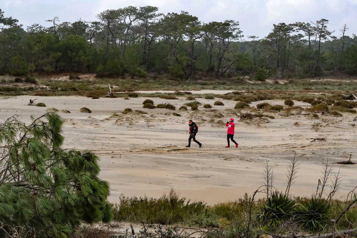  [Focus] - "Érosion Accélérée sur l'Île d'Oléron : La Pointe de Gatseau en Péril"