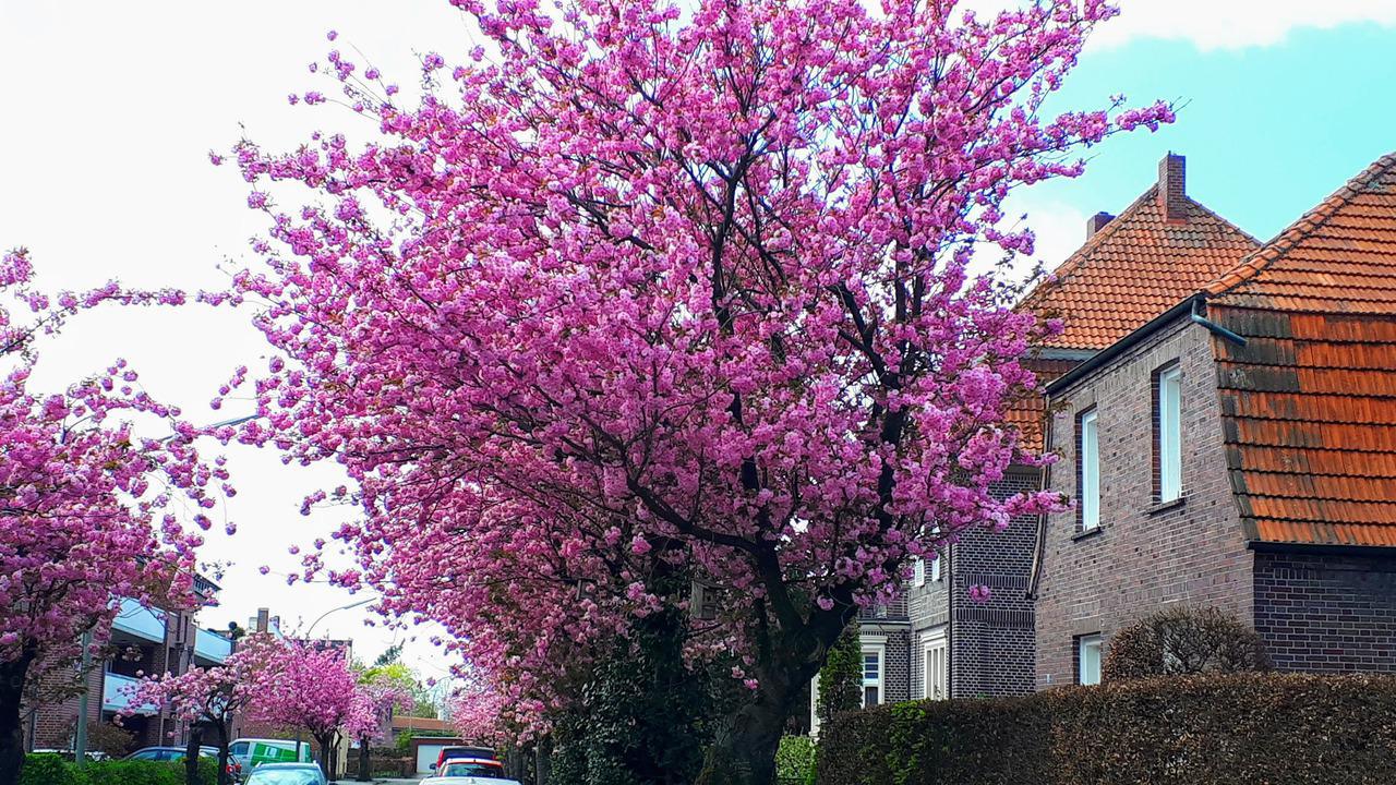 Am Bahnhof im April